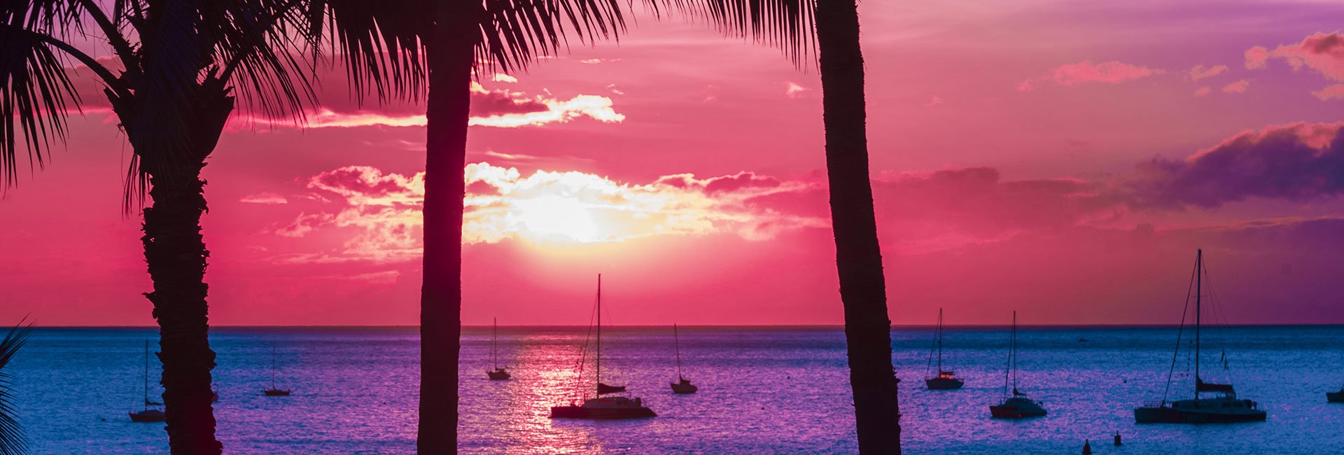 Pink sunset