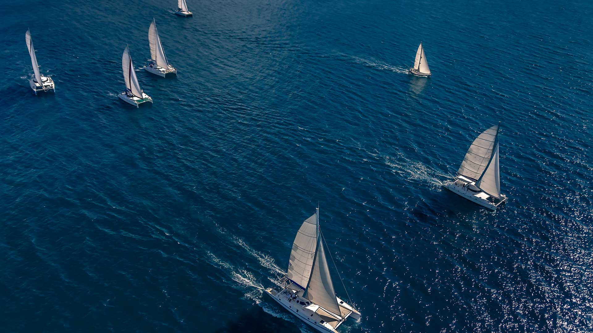 yachts on ocean